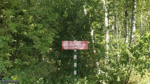 bagnowizna 1 02