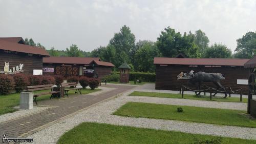 Puszcza Białowieska