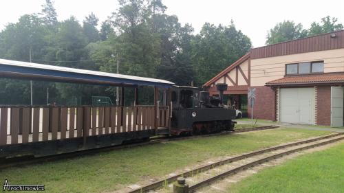 Puszcza Białowieska