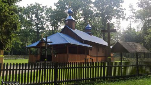 Puszcza Białowieska