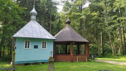 Puszcza Białowieska