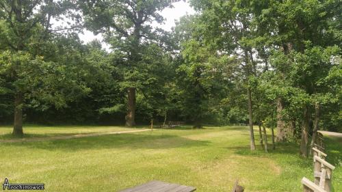 Puszcza Białowieska