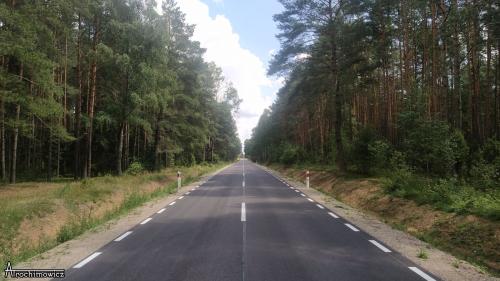 Biebrza - południowy basen