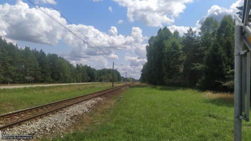Biebrza - południowy basen