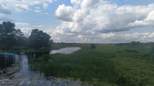 Biebrza - południowy basen