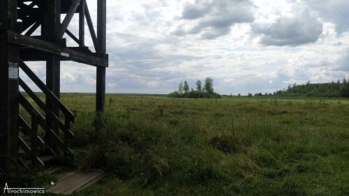 Biebrza - południowy basen