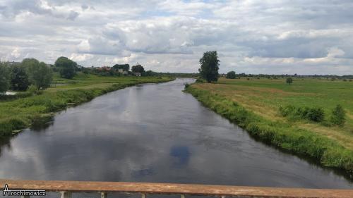 Biebrza - południowy basen