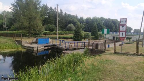 Biebrza - środkowy basen