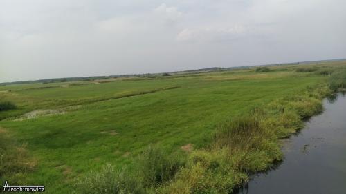 Biebrza - środkowy basen