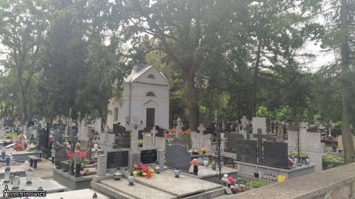 ciechanowiec 10