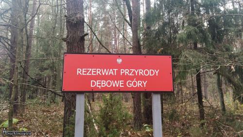 Rezerwat Dębowe Góry