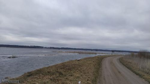 Wiosenne rozlewiska Narwi