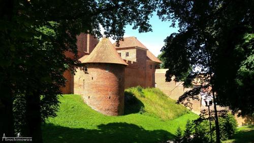 Elbląg - Zambrów
