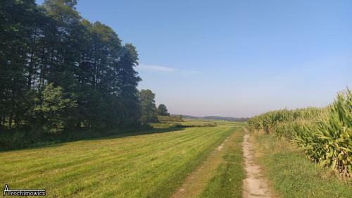 grodzisko poryte 1