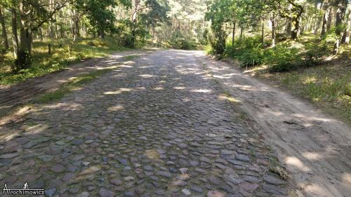 Kampinoski Park Narodowy