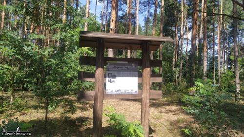 Kampinoski Park Narodowy