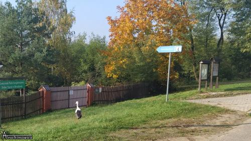 Trasa wokół ŁPKDN
