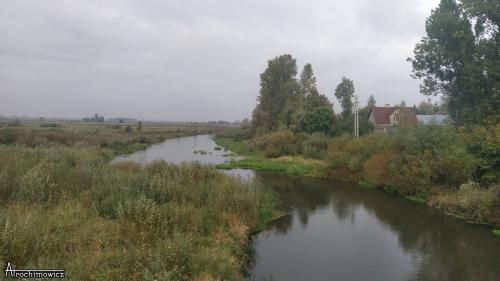 Narwiański PN