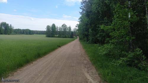 Puszcza Knyszyńska