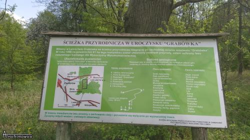 rezerwat grabowka 9