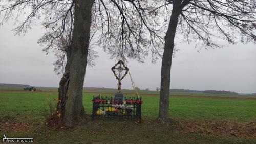 Sanie-Dąb