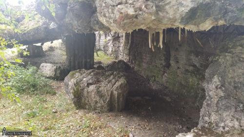 schronywizna 05