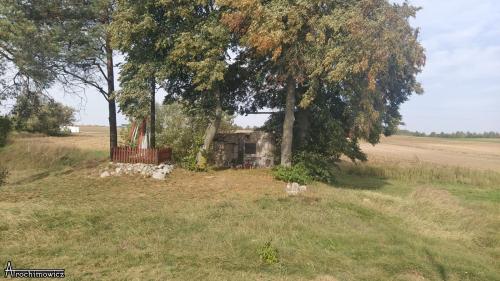 schronywizna 11