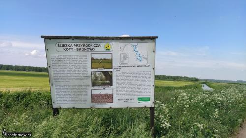 Ścieżka Koty - Bronowo