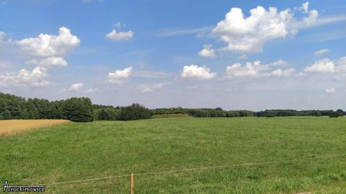 tykocin grodzisko 01