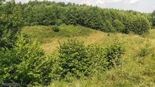 tykocin grodzisko 05