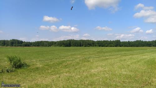 Rezerwat Wielki Dział
