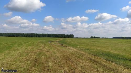 Rezerwat Wielki Dział