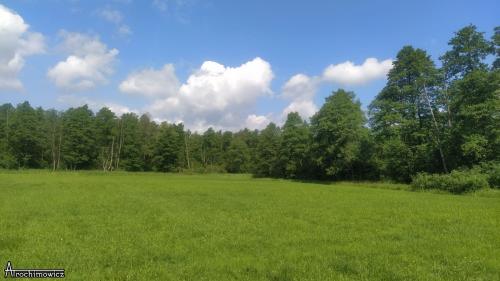 Rezerwat Wielki Dział
