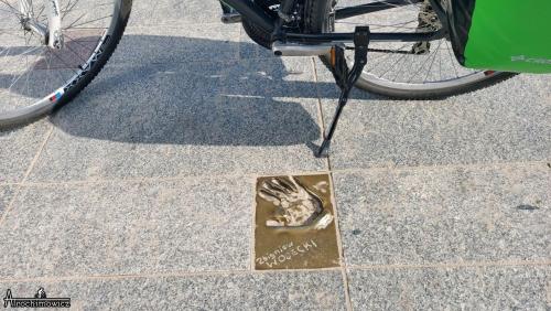 Wzdłuż Wybrzeża 2022